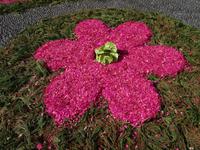 Ribeira Brava - Blumenfestatmosphäre &ndash; &copy; Hans-Joachim Trutz (Eberhardt TRAVEL)