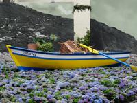 Funchal - Blumenfestatmosphäre &ndash; &copy; Hans-Joachim Trutz (Eberhardt TRAVEL)