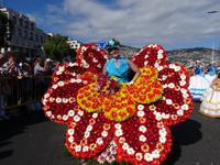 Festumzug zum Blumenfest 2019 in Funchal &ndash; &copy; Hans-Joachim Trutz (Eberhardt TRAVEL)