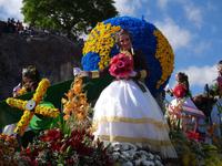 Festumzug zum Blumenfest 2019 in Funchal &ndash; &copy; Hans-Joachim Trutz (Eberhardt TRAVEL)