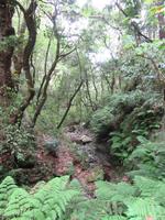 Wilde Natur &ndash; &copy; Carina Niebergall (Eberhardt TRAVEL)