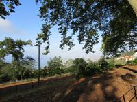 Blandys Garten &ndash; &copy; Carina Niebergall (Eberhardt TRAVEL)