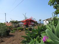 Orchideengarten &ndash; &copy; Carina Niebergall (Eberhardt TRAVEL)