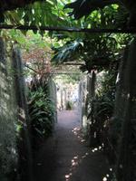 Orchideengarten &ndash; &copy; Carina Niebergall (Eberhardt TRAVEL)