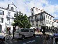 Funchals Straßen &ndash; &copy; Carina Niebergall (Eberhardt TRAVEL)