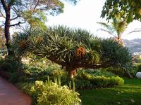 Hotelgarten &ndash; &copy; Steffi Zimmermann (Eberhardt TRAVEL)