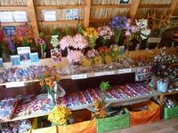 Blumenshop &ndash; &copy; Steffi Zimmermann (Eberhardt TRAVEL)