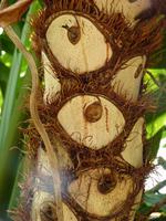 Augen auf! &ndash; &copy; Steffi Zimmermann (Eberhardt TRAVEL)