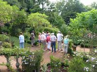 Gartenfreunde &ndash; &copy; Steffi Zimmermann (Eberhardt TRAVEL)