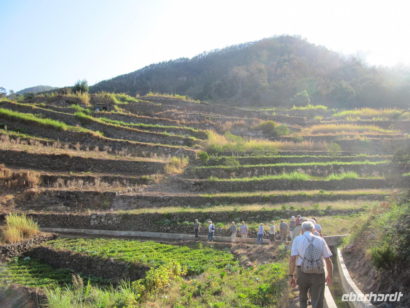 Entlang der Levada &ndash; &copy; Heike Schlosser (Eberhardt TRAVEL)