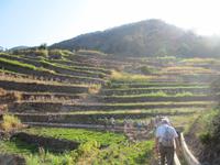 Entlang der Levada &ndash; &copy; Heike Schlosser (Eberhardt TRAVEL)
