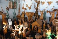 DSC_0030 &ndash; &copy; Kathrin Mickan (Eberhardt TRAVEL)