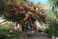 DSC_0609 &ndash; &copy; Kathrin Mickan (Eberhardt TRAVEL)