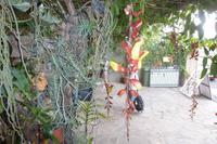 P1050549 &ndash; &copy; Kathrin Mickan (Eberhardt TRAVEL)