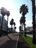 Allee Cascais &ndash; &copy; Vanessa Krüger (Eberhardt TRAVEL)