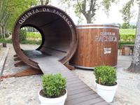 Weingut Quinta da Pacheca &ndash; &copy; Vanessa Krüger (Eberhardt TRAVEL)