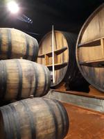 Weinkellerei Rozes &ndash; &copy; Vanessa Krüger (Eberhardt TRAVEL)