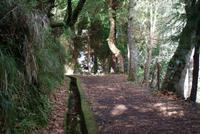 Levadawanderung (5) &ndash; &copy; Susanne Schirmann (Eberhardt TRAVEL)
