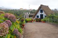 Santana (2) &ndash; &copy; Susanne Schirmann (Eberhardt TRAVEL)