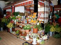 Markthalle Funchal (7) &ndash; &copy; Susanne Schirmann (Eberhardt TRAVEL)