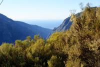 Encumeada Pass (3) &ndash; &copy; Susanne Schirmann (Eberhardt TRAVEL)