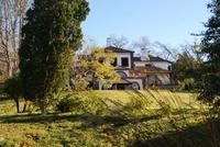 Palheiro Garden (10) &ndash; &copy; Susanne Schirmann (Eberhardt TRAVEL)