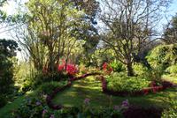 Palheiro Garden (16) &ndash; &copy; Susanne Schirmann (Eberhardt TRAVEL)