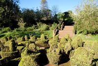 Palheiro Garden (19) &ndash; &copy; Susanne Schirmann (Eberhardt TRAVEL)