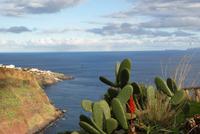 Madeira &ndash; &copy; Susanne Schirmann (Eberhardt TRAVEL)
