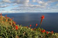 Madeira (3) &ndash; &copy; Susanne Schirmann (Eberhardt TRAVEL)
