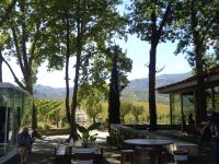 Quinta da Pacheca &ndash; &copy; Barbara Mihut (Eberhardt TRAVEL)