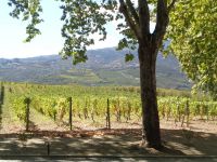 Quinta da Pacheca &ndash; &copy; Barbara Mihut (Eberhardt TRAVEL)