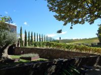 Quinta da Pacheca &ndash; &copy; Barbara Mihut (Eberhardt TRAVEL)