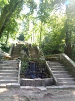 Wald von Bussaco &ndash; &copy; Barbara Mihut (Eberhardt TRAVEL)
