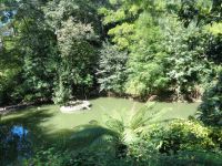 Wald von Bussaco &ndash; &copy; Barbara Mihut (Eberhardt TRAVEL)