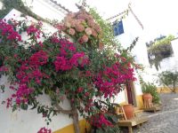 Óbidos &ndash; &copy; Barbara Mihut (Eberhardt TRAVEL)