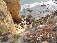 Ponta da Piedade &ndash; &copy; Barbara Mihut (Eberhardt TRAVEL)