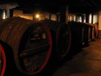 Weinkellerei Blandy's &ndash; &copy; Julia Grunwald (Eberhardt TRAVEL)
