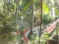 Tropischer Garten &ndash; &copy; Julia Grunwald (Eberhardt TRAVEL)