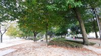 Singlereise Portugal - Cordoaria-Park in Porto &ndash; &copy; Franziska Bergmann (Eberhardt TRAVEL)