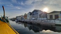 Singlereise Portugal - Kanalfahrt in Aveiro &ndash; &copy; Franziska Bergmann (Eberhardt TRAVEL)
