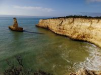 Ein Erdmännchen im Atlantischen Ozean?.jpg &ndash; &copy; Patrick Erdmann (Eberhardt TRAVEL)