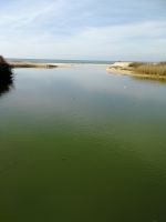 in der Lagoa dos Salgados können wir die Flora und Fauna von einem Holzsteg beobachten.jpg &ndash; &copy; Patrick Erdmann (Eberhardt TRAVEL)