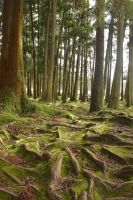 Am Furnas-See &ndash; &copy; Martin Gruhle (Eberhardt TRAVEL)