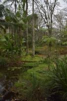 Park Terra Nostra &ndash; &copy; Martin Gruhle (Eberhardt TRAVEL)