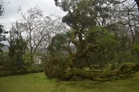 Park Terra Nostra &ndash; &copy; Martin Gruhle (Eberhardt TRAVEL)