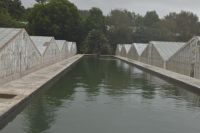Ananasplantage &ndash; &copy; Martin Gruhle (Eberhardt TRAVEL)