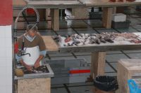 12 Fischhalle  &ndash; &copy; Susanne Schirmann (Eberhardt TRAVEL)