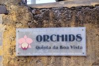 54 im Orchideengarten &ndash; &copy; Susanne Schirmann (Eberhardt TRAVEL)