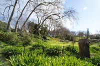 61 herrliche Natur im Palheiro Garden &ndash; &copy; Susanne Schirmann (Eberhardt TRAVEL)